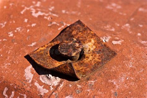 Rusted Iron Nail stock photo. Image of problems, pressure - 12829530