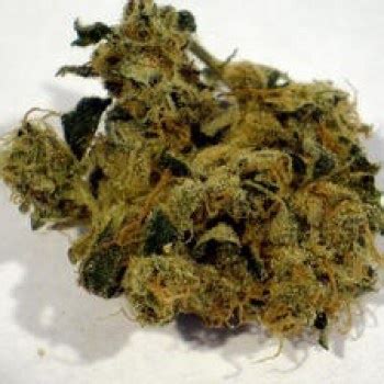 Chemdog D BX2 Marijuana Strain Information & Reviews | AllBud