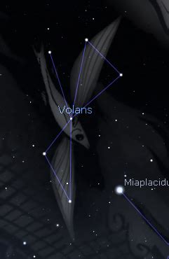 Volans Constellation - DSP