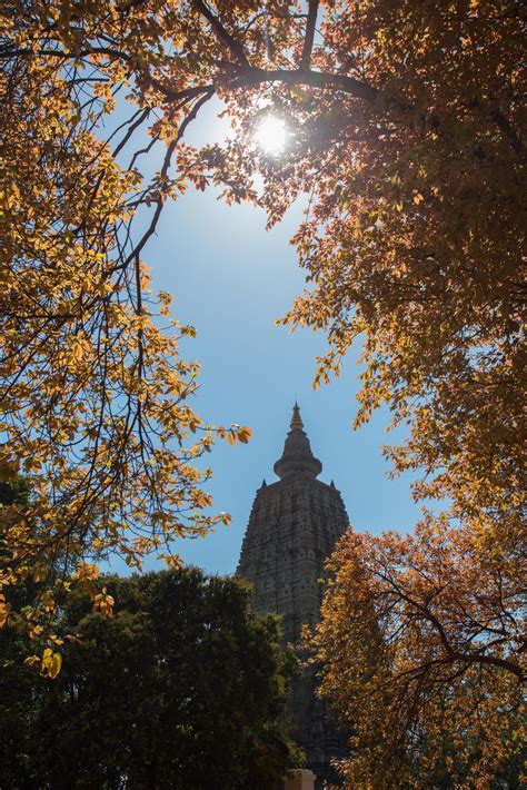 Mahabodhi temple, bodh gaya, India 9637656 Stock Photo at Vecteezy