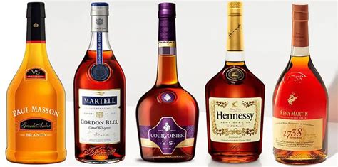 Best Cognac Brands 2021: Top Full Review, Guide - DADONG