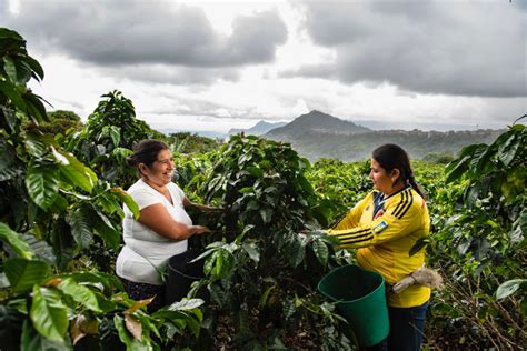 Revolution Starts from Origins – Colombia – coffee t&i magazine