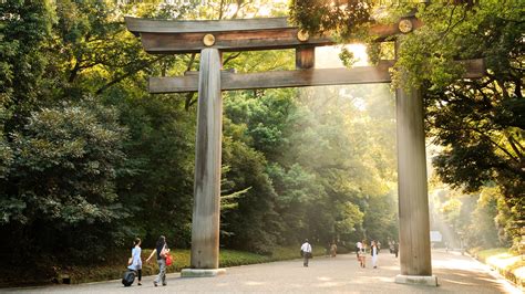 Yoyogi Park — Park Review | Condé Nast Traveler