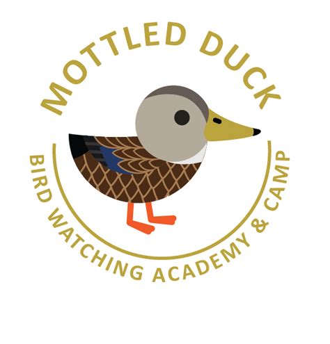 Mottled Duck - Bird Watching Academy