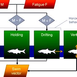 The process of computing the swim vector.