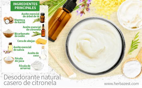 Desodorante natural casero de citronela | HerbaZest