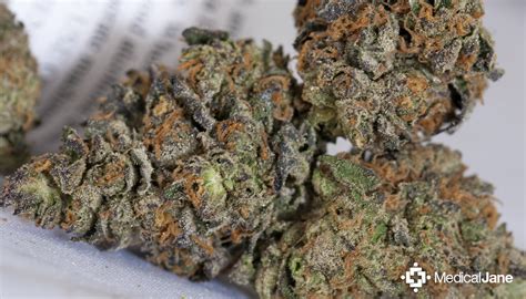 Girl Scout Cookies | HD Gallery | Image #2