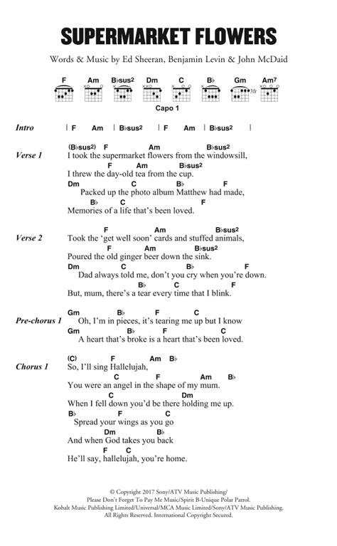 Supermarket Flowers by Ed Sheeran - Guitar Chords/Lyrics - Guitar Instructor