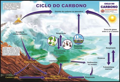 Ciclo do Carbono • Bia Mapas