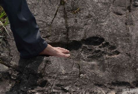 Baffling giant human footprint fossilized in a rock discovered in China ...