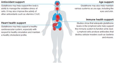 S-Acetyl L-Glutathione powder, Acetyl Glutathione,CAS 3054-47-5