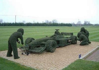 Best and Crazy Grass Art Photos | Grass Cutting Art photos