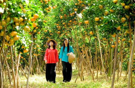 Discover famous tourist attractions in Ben Tre