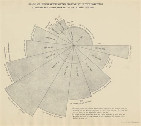 How Florence Nightingale Saved Lives Through Her Data Visualisation ...