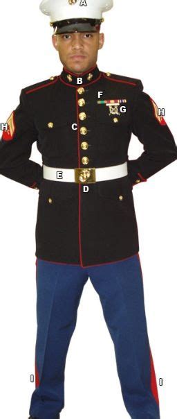 Marines dress blues | Usmc dress blues, Marine dress blues uniform, Marines dress blues