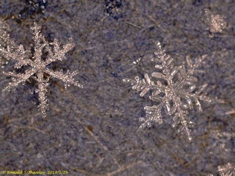 Close-up photos of snowflakes taken with a microscope | AccuWeather