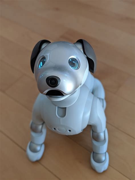 Apply To Sony Aibo ERS 1000 Smart Robot Dog Lb Bionic Emotional Robot Dog| AliExpress | lupon.gov.ph