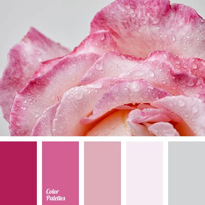 selection of color solutions for the repair | Color Palette Ideas