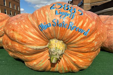 The Official Circleville Pumpkin Show Website - 2023 Largest Pumpkins