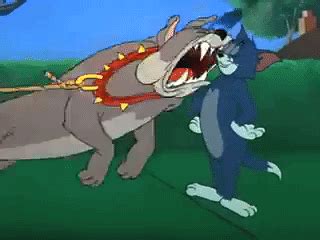 Spike vs Tom 3 | Tom and Jerry | Know Your Meme