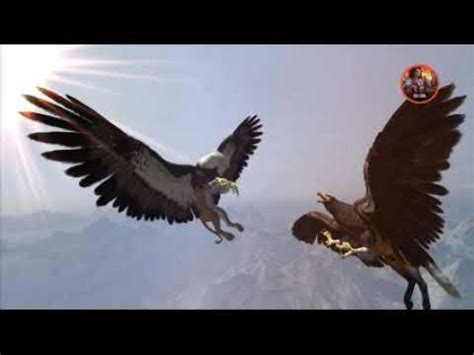 fantasy fighters Griffin vs Hippogriff - YouTube