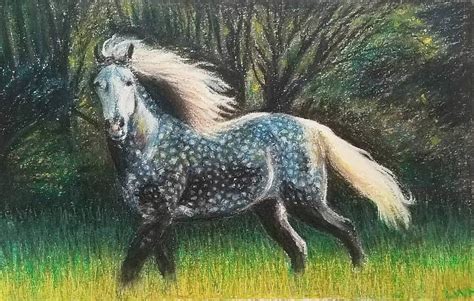 Dapple Grey Horse Drawing by Leah Howard - Pixels