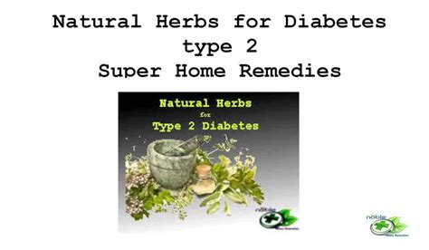 Top 8 Natural Herbs for Diabetes type 2 - Remedies