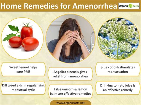 Home remedies for amenorrhea include consumption of herbs such as ...