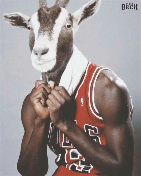 a goat wearing a jersey and holding his hands together