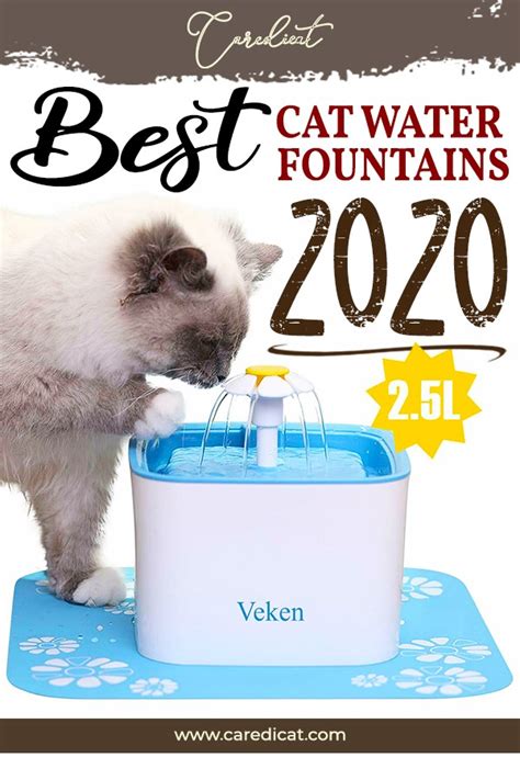 Best Cat Water Fountain 2020 | Cat Drinking Fountain Reviews