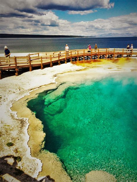 Geysers of Yellowstone: How to Geyser