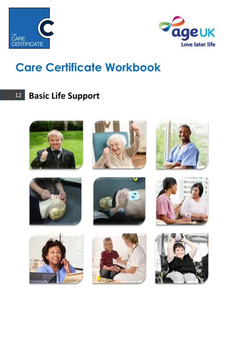 (PDF) Care Certificate Workbookageuktraining.carecertificate.co.uk ...