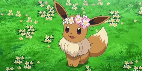 Pokemon GO How To Get Shiny Flower Crown Eevee - pokemonwe.com