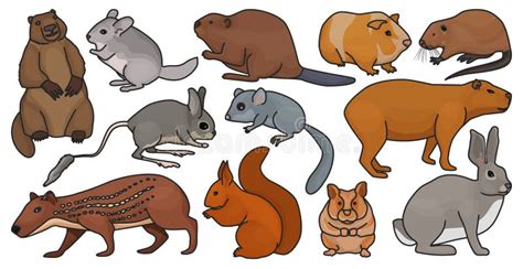 Otter Species Stock Illustrations – 233 Otter Species Stock Illustrations, Vectors & Clipart ...