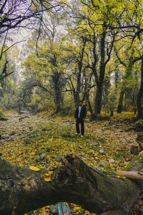 Man Walking in Autumn Park · Free Stock Photo