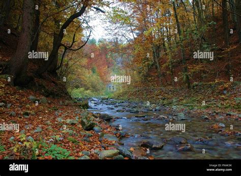 river surrounded by colorful trees in the fall Stock Photo - Alamy