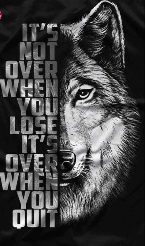 Inspirational Quotes: It's not over when you Lose, It's Over When you Quit