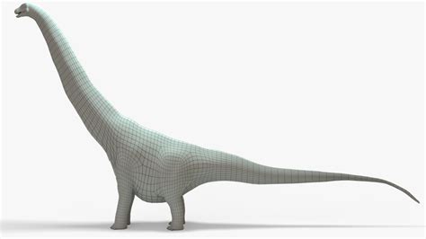 Argentinosaurus Rigged Basemesh Skeleton 3D model - TurboSquid 2131942