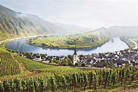 Tradition Meets Evolution in Modern Mosel | Wine Enthusiast