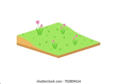 Flower Field Isometric View Stock Vector (Royalty Free) 702809614 | Shutterstock