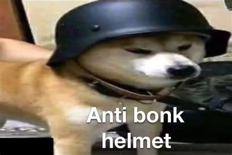 71 Bonk Doge Meme Templates