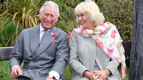 Prince Charles and Camilla's tongue-in-cheek new photo has fans ...