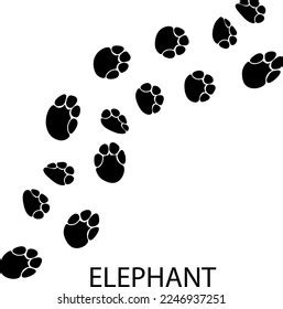 Elephant Paw Print Illustration On White Stock Vector (Royalty Free ...