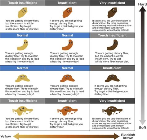 know your health by your poops - Google Search | Stool color chart, Healthy poop, Mucus in stool