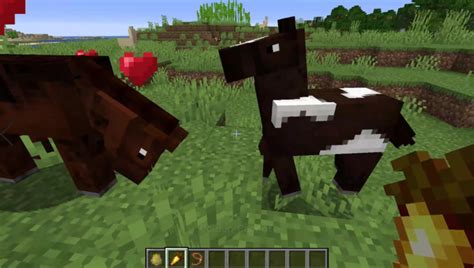 Minecraft: Animal Breeding Guide - How-To Breed All Animals! (2020) - Pro Game Guides