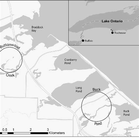 Map showing Buck Pond and Buttonwood Creek in the Braddock Bay Wildlife... | Download Scientific ...