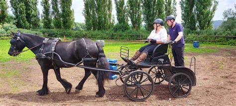 Carriage Driving Lessons | Instruction | Introductory taster sessions - D K Carriage Horses ...