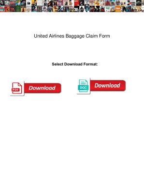 Fillable Online United Airlines Baggage Claim Form. United Airlines ...