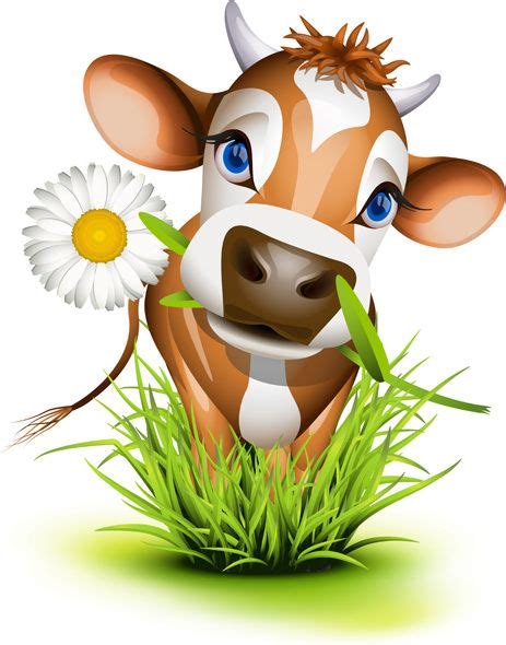 different dairy cow | Cow illustration, Cute cows, Jersey cow