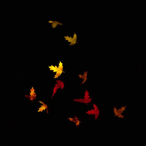 Autumn Time | Fall leaves pictures, Fall wallpaper, Animated wallpapers ...